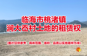 临海市桃渚镇涧大岙村土地的租赁权